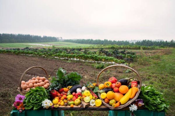 Que frutas y verduras comer en noviembre calendario de temporada 