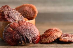 El Hongo de la Inmortalidad: El superalimento que previene el cáncer