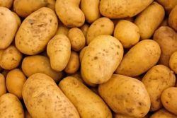 Si en tus patatas aparece esto, ni se te ocurra comértelas: es peligroso