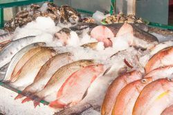 Sanidad dicta sentencia: Los 13 pescados libres de mercurio que puedes comer en España