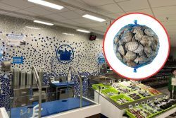 El marisco cargado de proteína magra que vende Mercadona por 4 €