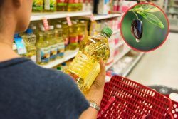 El aviso de los expertos sobre el aceite de oliva en las prÃ³ximas semanas