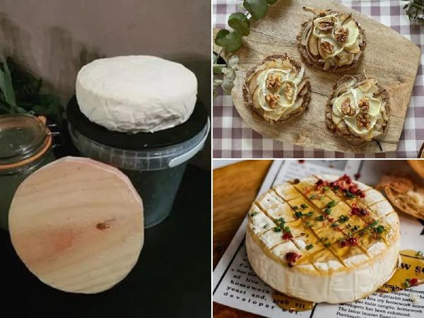 5 recetas con queso camembert al horno