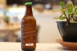 como-preparar-kombucha