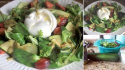 Ensalada templada de calabacín y burrata con pesto