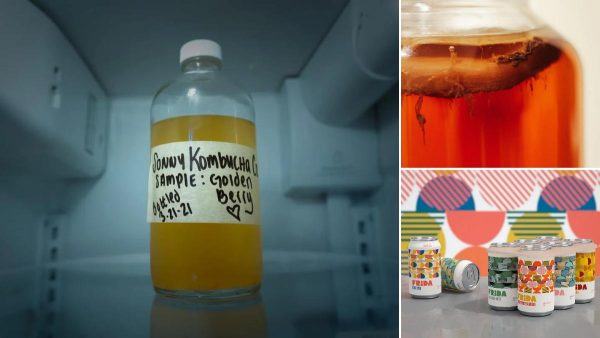 Kombucha, la bebida saludable 'kombuchas' ventajas - Portada