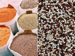 La legumbre más completa y más barata que la quinoa