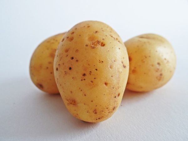 patatas-camperas3