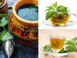 Receta Infusión de Ortiga – Beneficios y propiedades