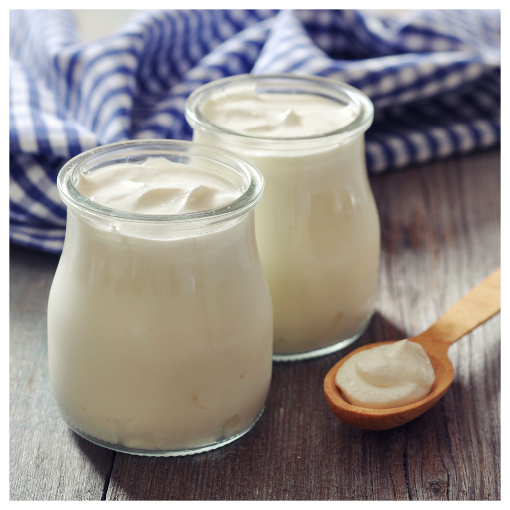 Yogurt casero ¿Cómo hacer yogur natural? - SaborGourmet.com